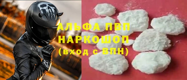 индика Бугульма