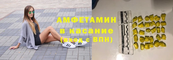 ГАЛЛЮЦИНОГЕННЫЕ ГРИБЫ Бородино