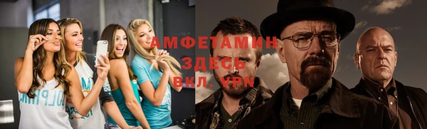 индика Бугульма