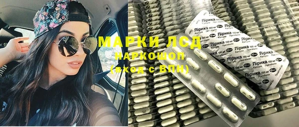 индика Бугульма