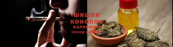 ГАЛЛЮЦИНОГЕННЫЕ ГРИБЫ Бородино