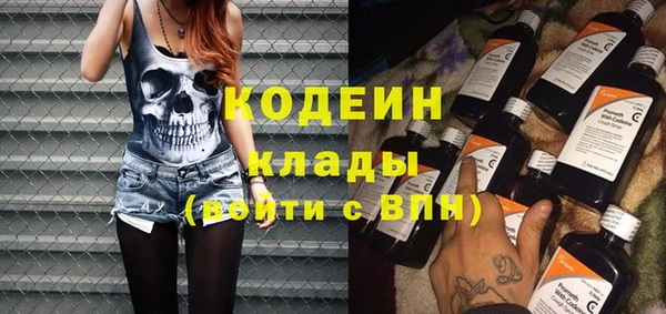 ГАЛЛЮЦИНОГЕННЫЕ ГРИБЫ Бородино