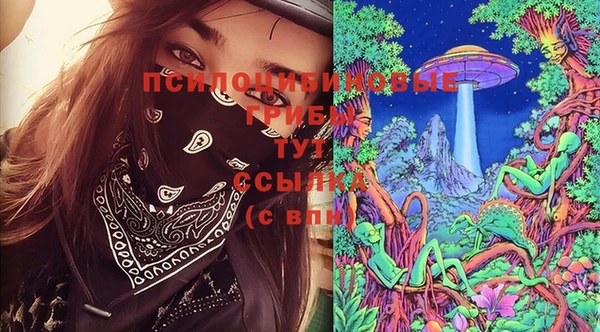 ГАЛЛЮЦИНОГЕННЫЕ ГРИБЫ Бородино