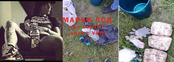 ГАЛЛЮЦИНОГЕННЫЕ ГРИБЫ Бородино