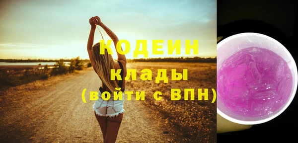 индика Бугульма