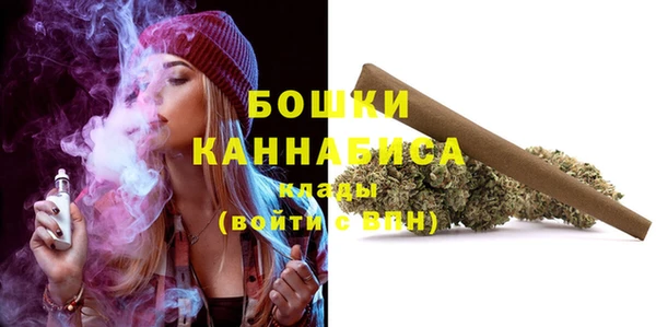ГАЛЛЮЦИНОГЕННЫЕ ГРИБЫ Бородино