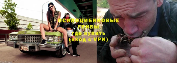 индика Бугульма