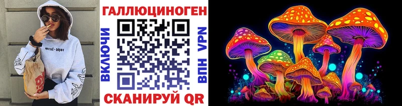 Галлюциногенные грибы Psilocybe  Купить где  Выкса 